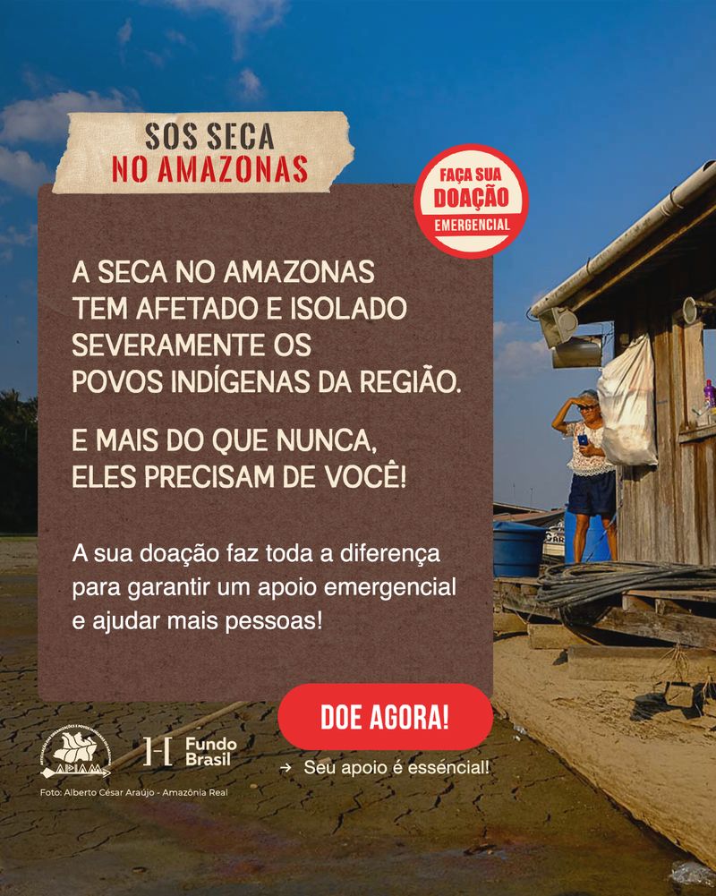 S.O.S Amazonas 2