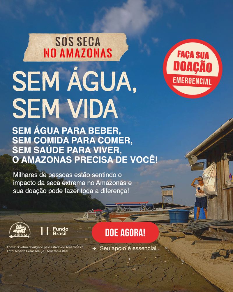 Criativo emergencial S.O.S Amazonas