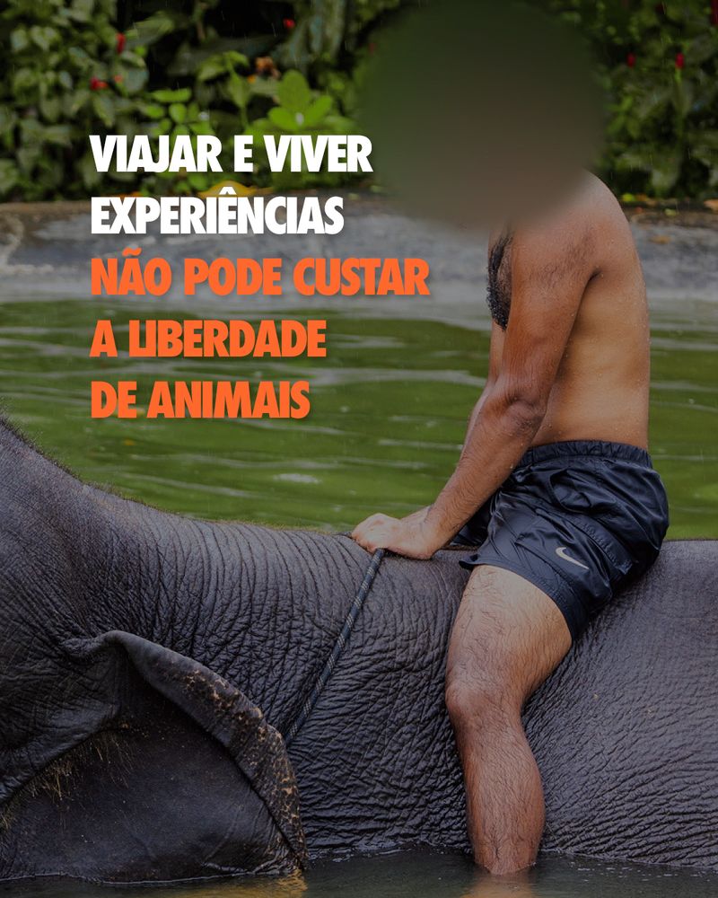 Carrossel: Retrato da tortura 5