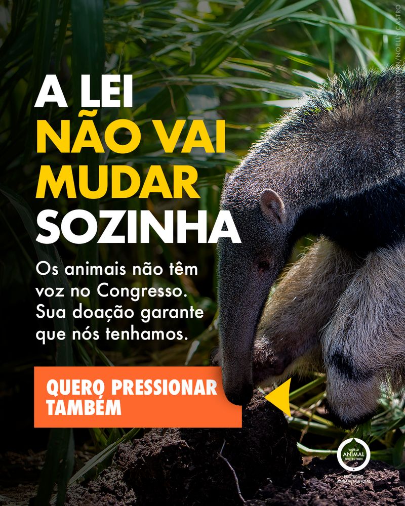 Criativo de campanha da WAP: a lei não vai mudar sozinha